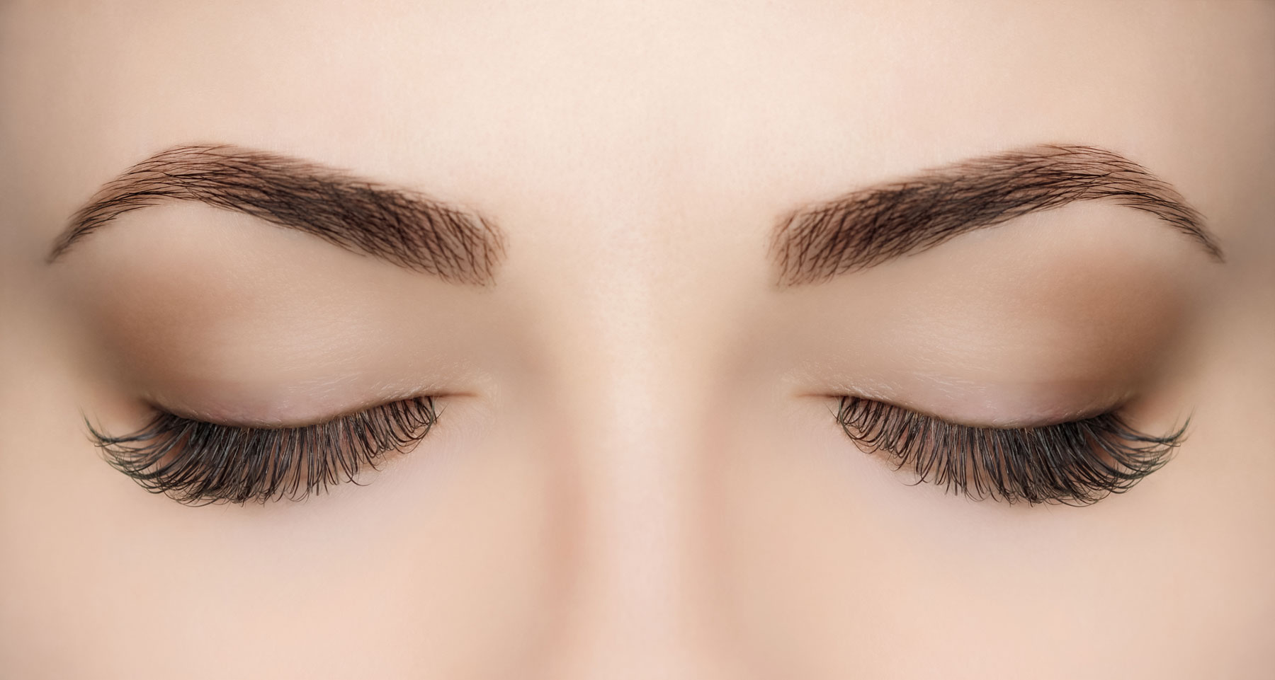 How to have the best eyebrows for your face  Love My Senses