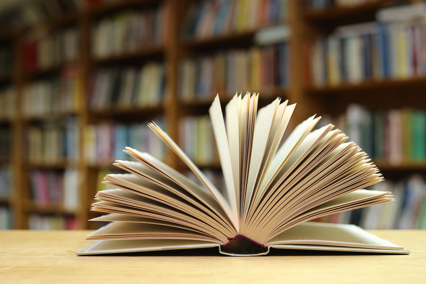 Los mejores libros de 2021 | Love My Senses